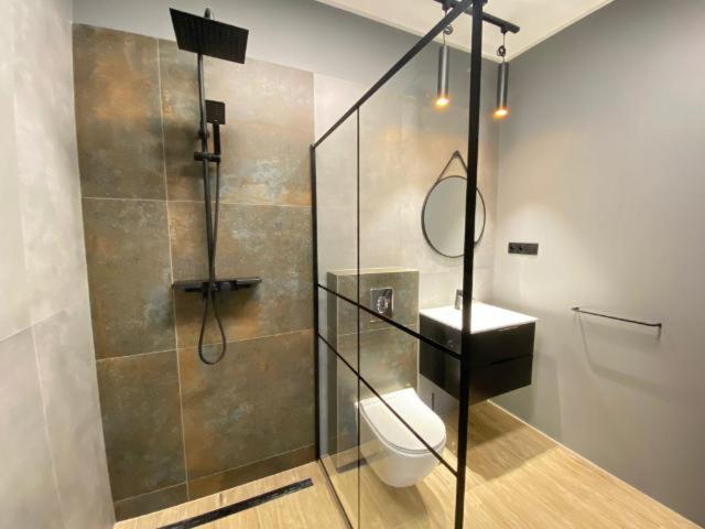 a bathroom with a shower with a toilet and a mirror at Apartament pod Świątynią Wang in Karpacz