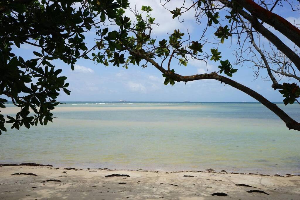 a view of the ocean from a tree branch at Elysia Nongsa 29 Batam Beachfront in Nongsa