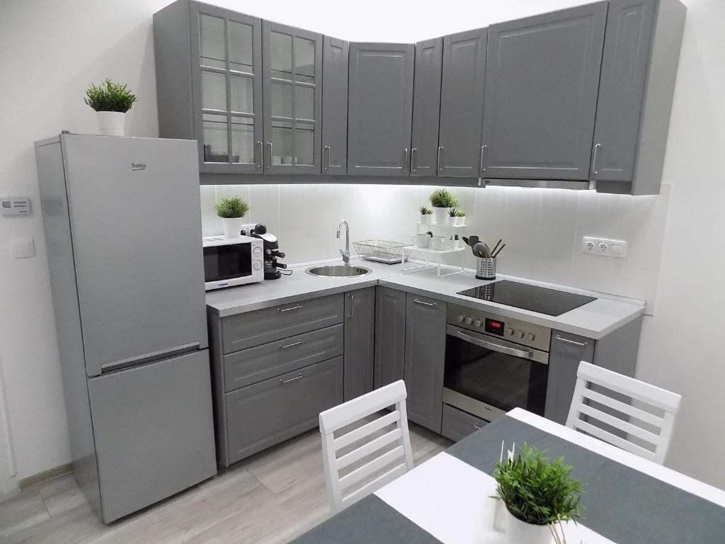 Kuchyň nebo kuchyňský kout v ubytování A10 Alkotmány B Apartment