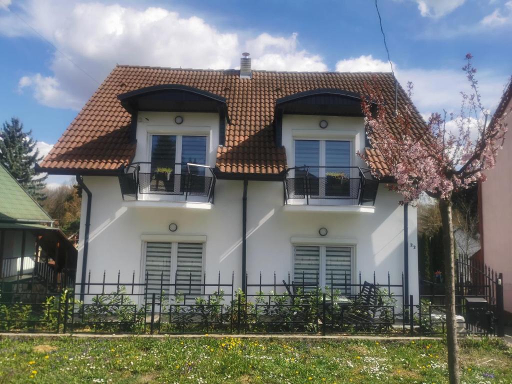 BM Apartman 8749 Zalakaros, 22 Rózsa utca kép - 1