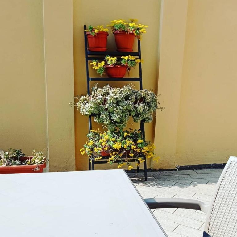 Fotografie z fotogalerie ubytování da Irma in terrazza v destinaci Crema