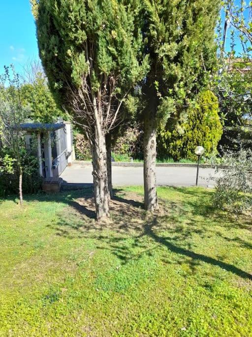 Vonkajšia záhrada v ubytovaní Appartamento con giardino e parcheggio riservato