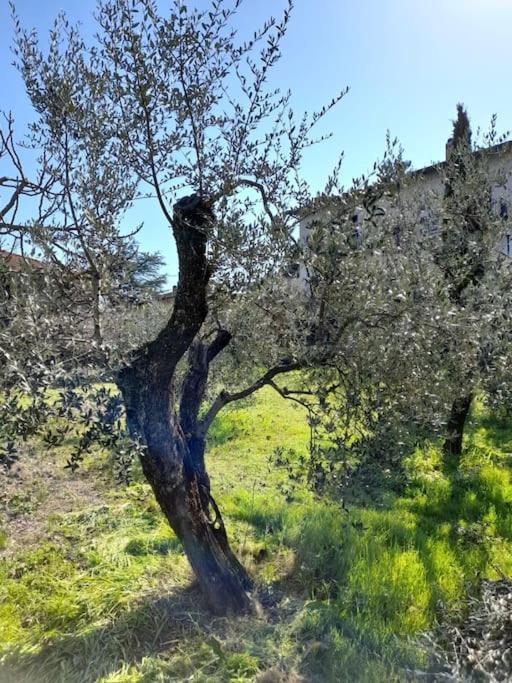 Príroda v okolí apartmánu