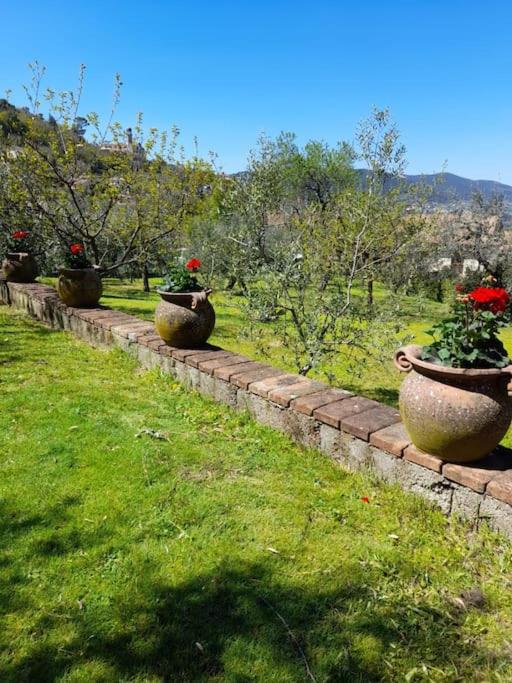 Vonkajšia záhrada v ubytovaní Appartamento con giardino e parcheggio riservato