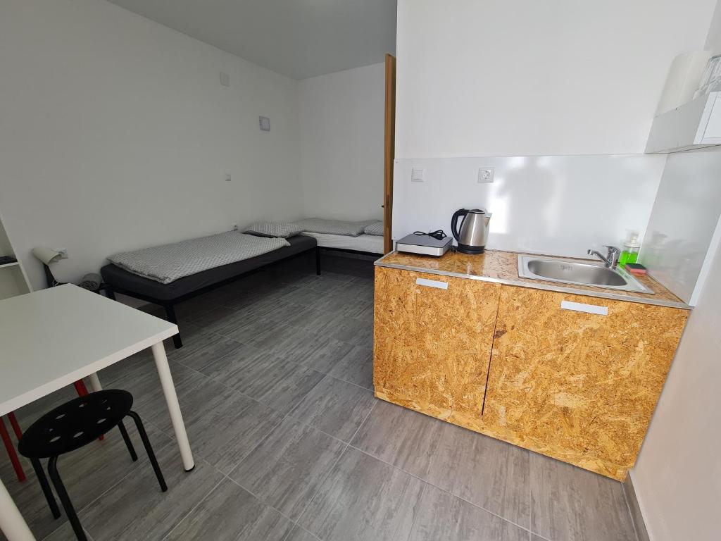 オシエクにあるBudget Apartment LeLo Center1のシンクとベッドが備わる小さな客室です。