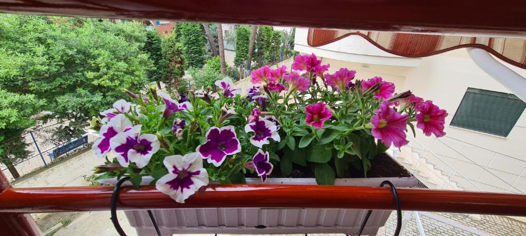 Family Apartment in Golem - Imazhi 9