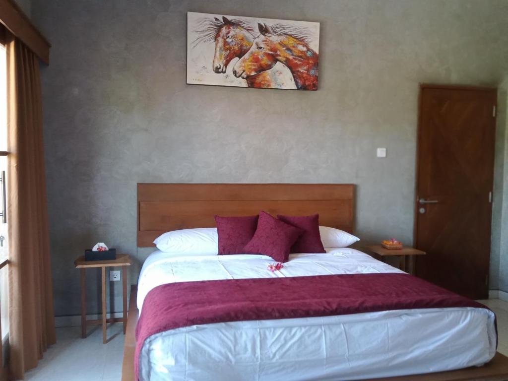 Araya villa saba photo