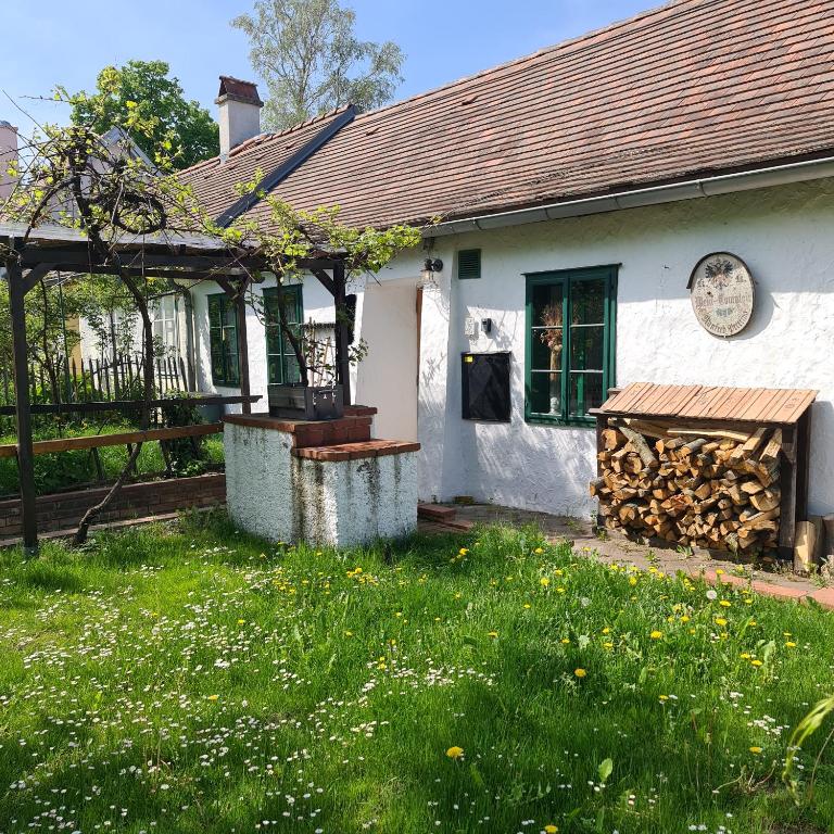 Vonkajšia záhrada v ubytovaní Landhaus Nitsch Appartement - Gästehaus Nitsch Appartement