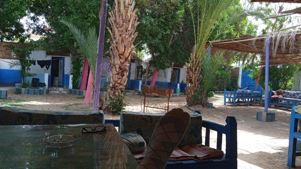 Zahrada ubytování Al Salam Camp