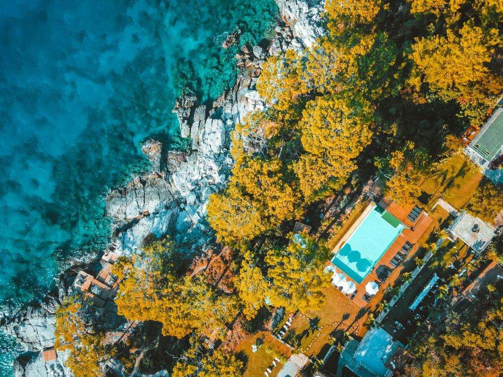 an aerial view of trees and the ocean at Lov Faralya Beach & Nature Retreat in Faralya