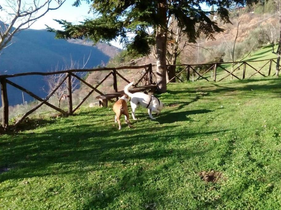 Príroda v okolí dovolenkového domu
