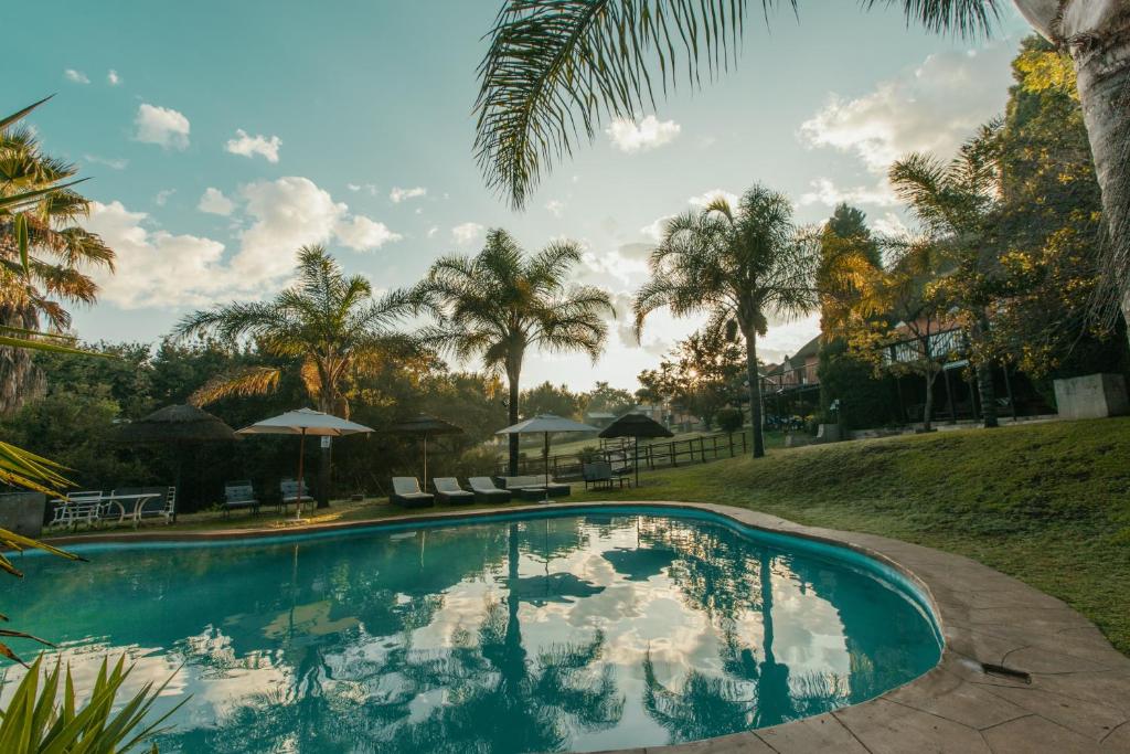 a swimming pool with palm trees in the background at Pecan Bush Lodge in Magaliesburg