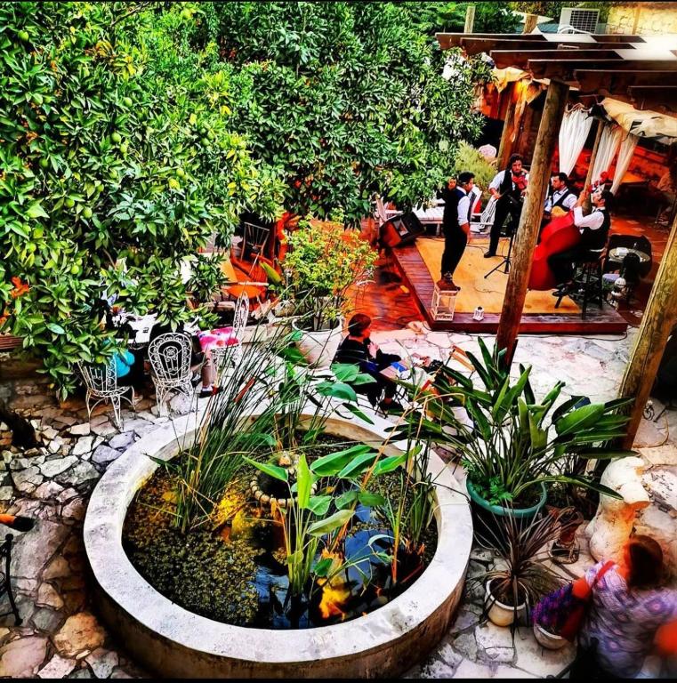 A garden outside istifci