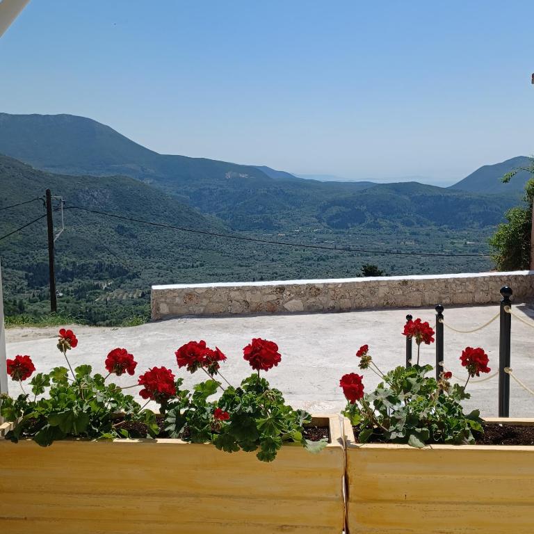Táj Show holiday homes közelében