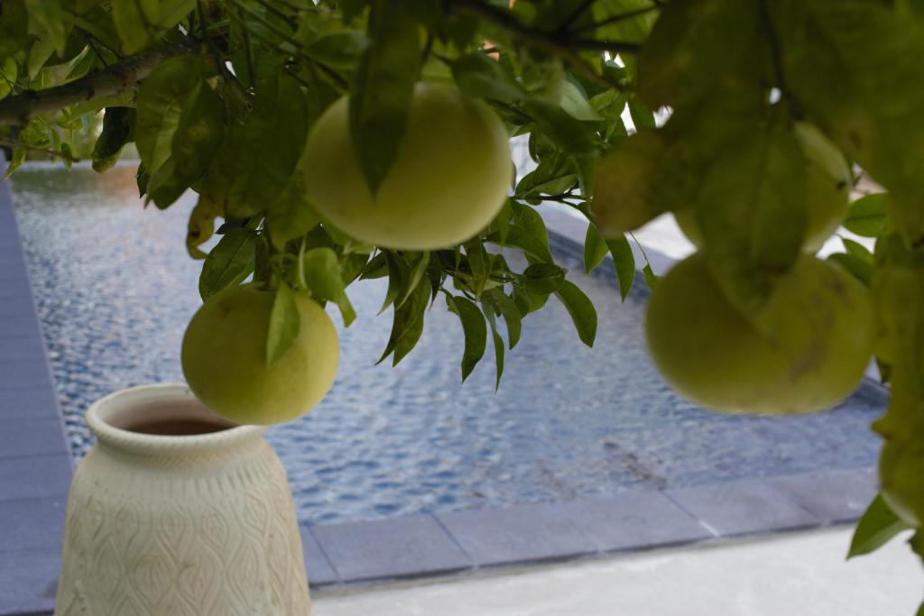 Bazén v ubytování Residence Hotel Baia Portinenti nebo v jeho okolí