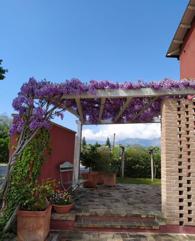 Zahrada ubytování B&B Le Stagioni