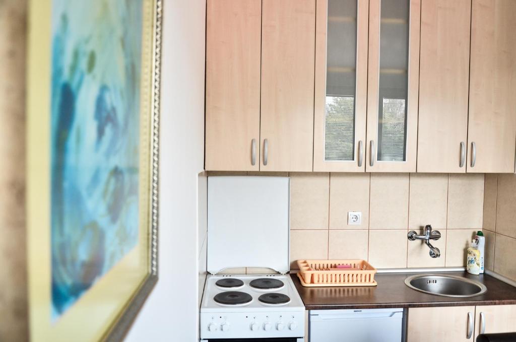 Kuchyň nebo kuchyňský kout v ubytování Helena Apartments