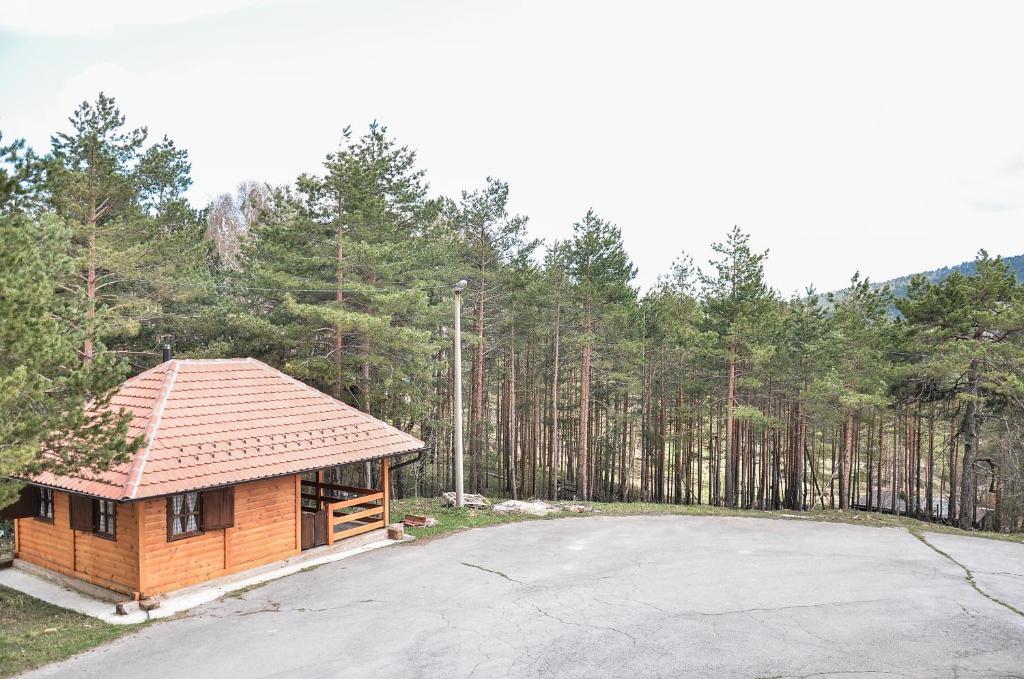 Příroda nedaleko apartmánu