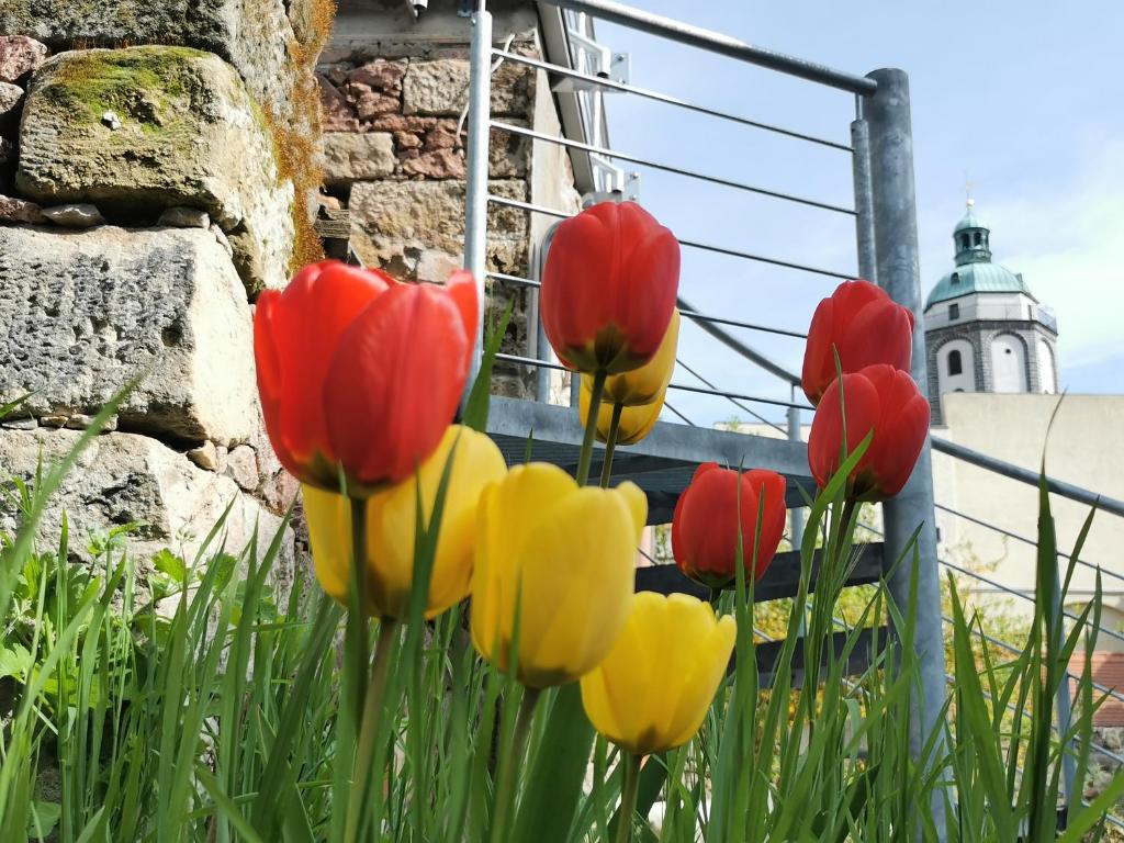 Fynbos Apartments in der Altstadt, Frauenkirche, historisch, Parkplatz - 12