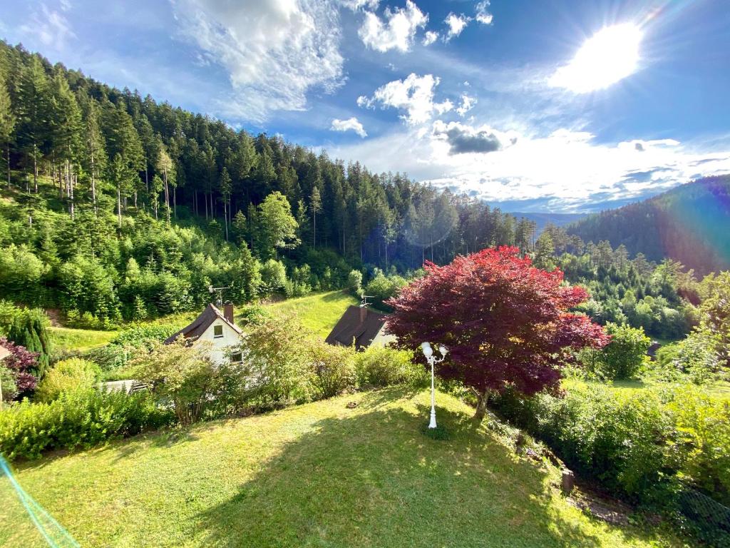 une maison sur une colline avec un arbre dans un champ dans l'établissement Ferienwohnung zur Bierliebe - Mit toller Aussicht im Herzen des Schwarzwaldes, à Hornberg