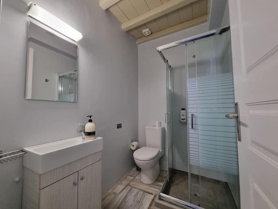 een badkamer met een toilet, een wastafel en een douche bij Beachfront 2br apartment - Free parking in Serifos Chora