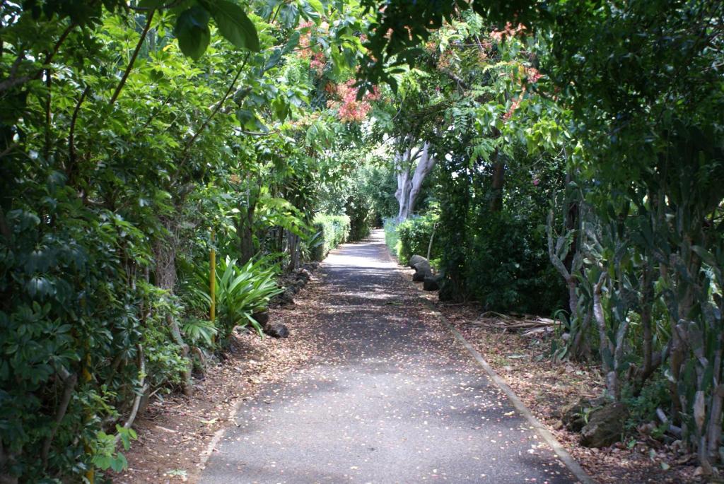 Zahrada ubytování Waimea Bay Garden Bunglaow
