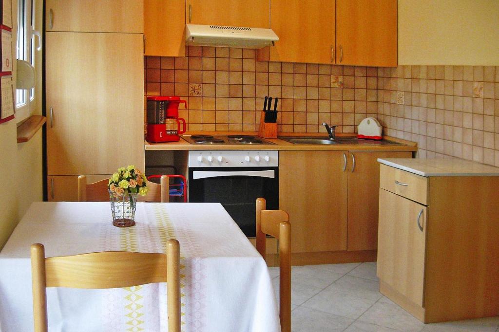 Kuchyňa alebo kuchynka v ubytovaní Apartment in Vir with balcony or terrace