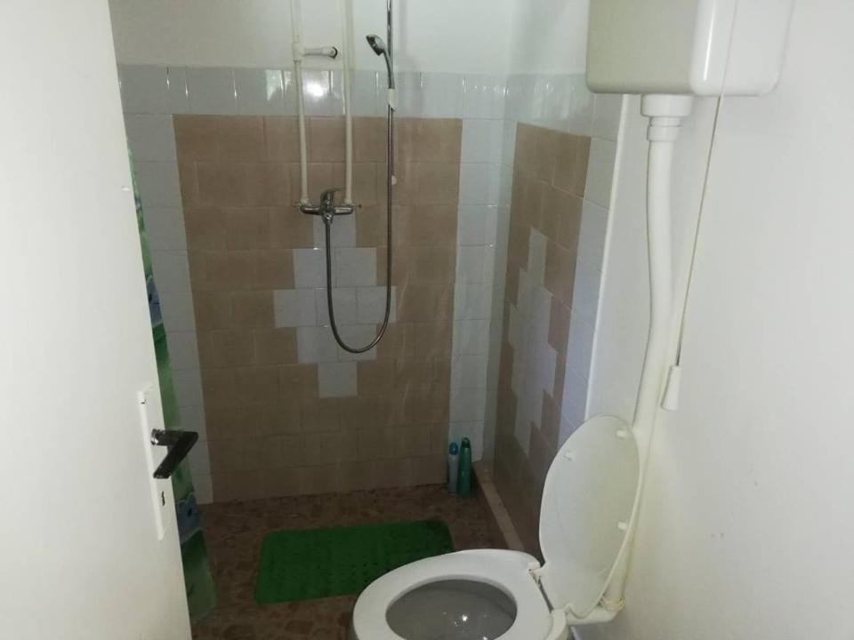 a bathroom with a shower with a toilet and a sink at Vila Marina na obali Dunava in Neštin