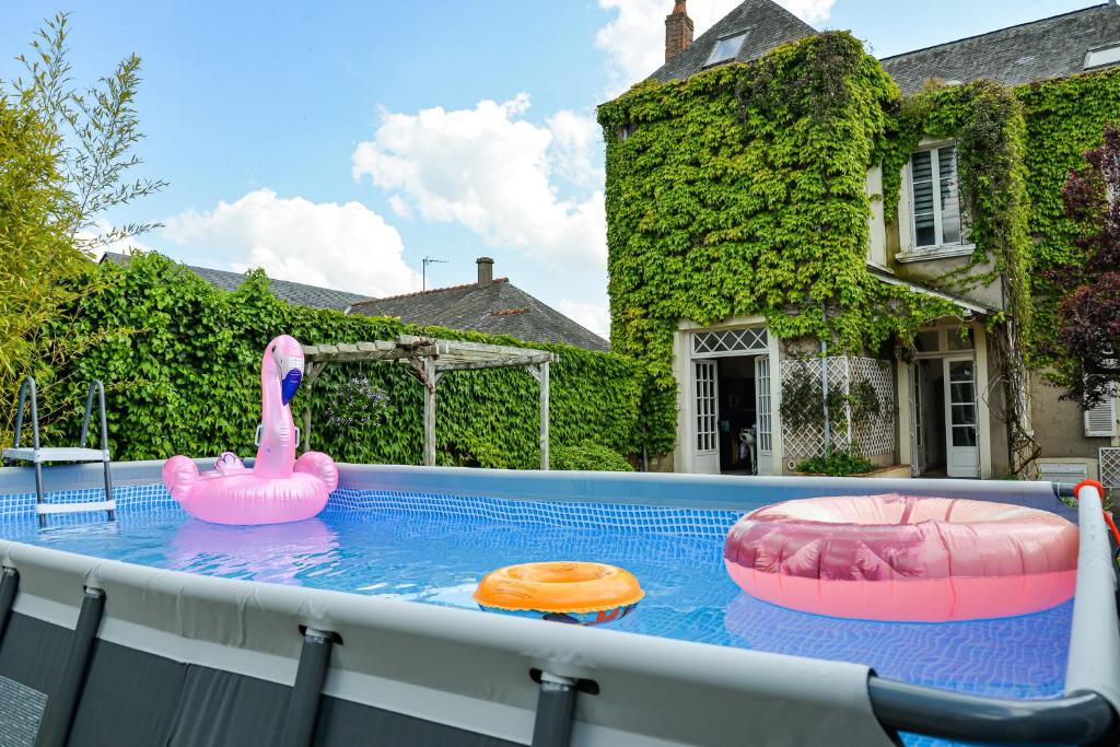 two pink inflatable flamingos in a swimming pool at Villa Château Gontier in Château-Gontier