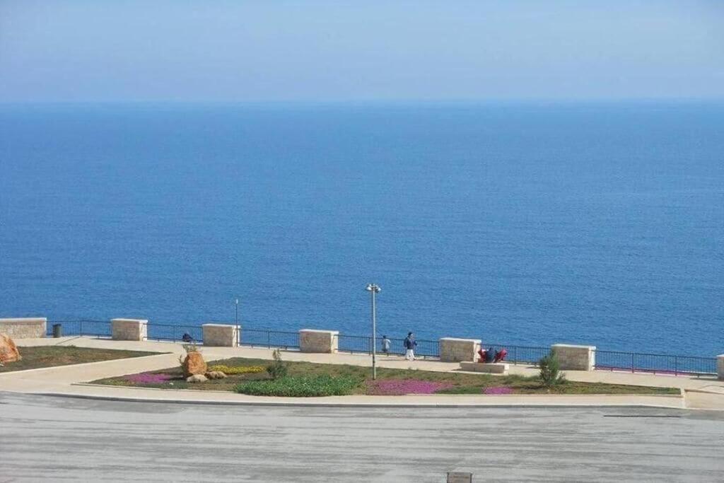 Táj Show holiday homes közelében