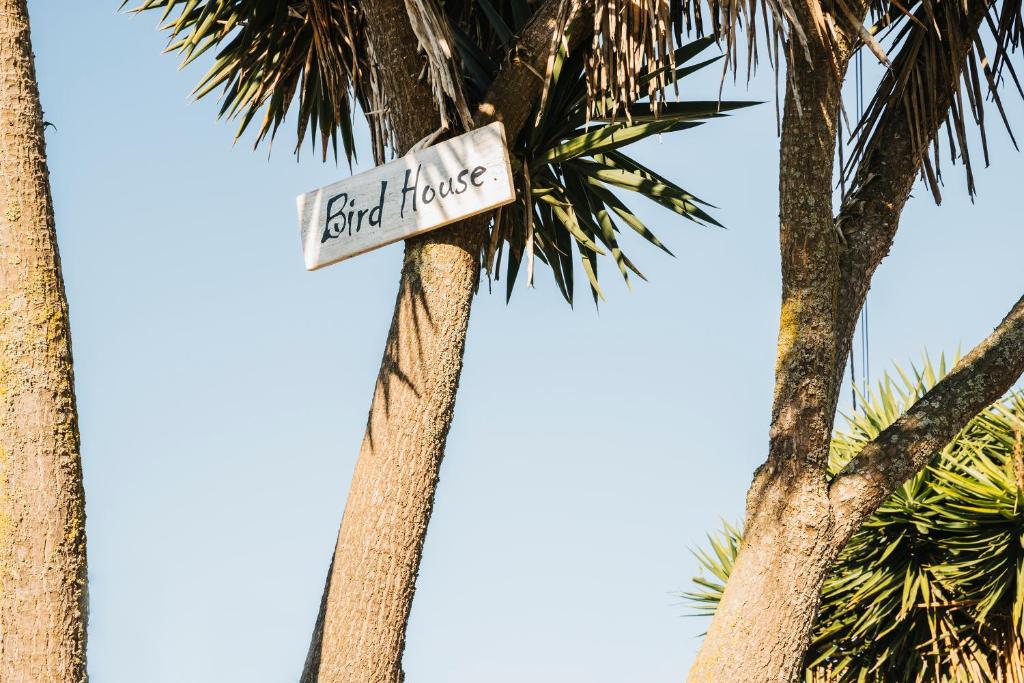 un letrero de la calle frente a una palmera en Bird House, en Lourinhã