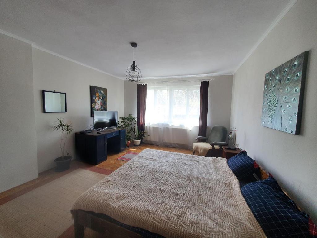 Andrea apartman - Apartamento De Dos Dormitorios