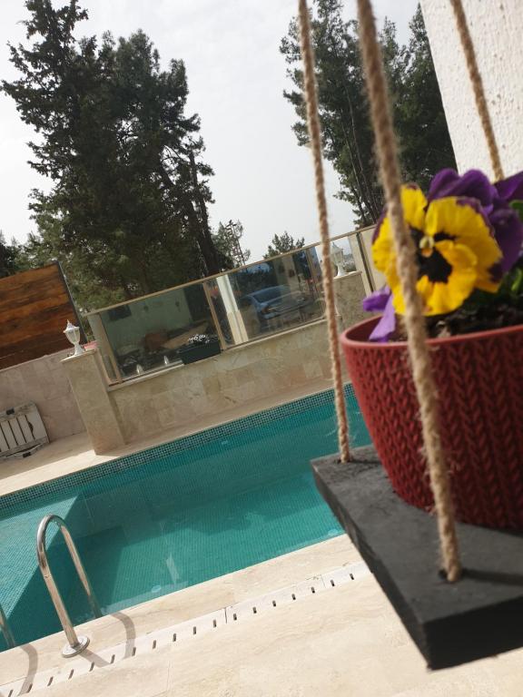 eine Blumenvase neben einem Pool in der Unterkunft Schöne Unterkunft im Grünen mit privater Pool und Meeresblick in Kusadası