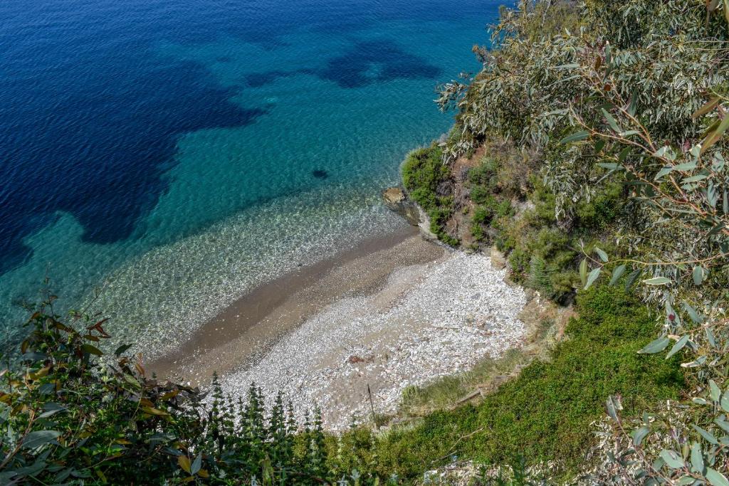 Zdjęcie z galerii obiektu Sea Frame w mieście Skiatos