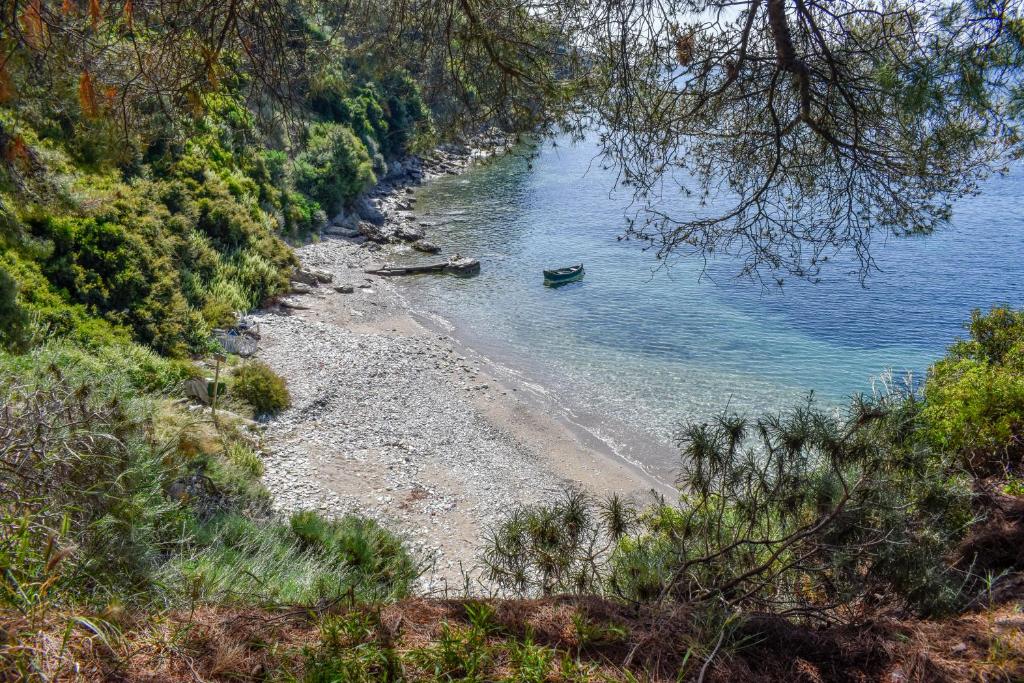 Zdjęcie z galerii obiektu Sea Frame w mieście Skiatos
