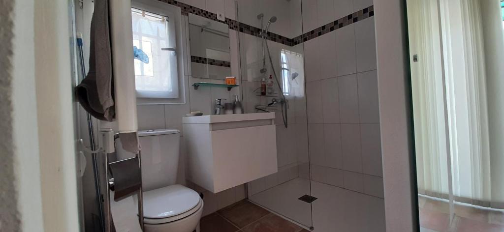 a white bathroom with a toilet and a sink at Au Papillon Dort in Seillons-Source-dʼArgens