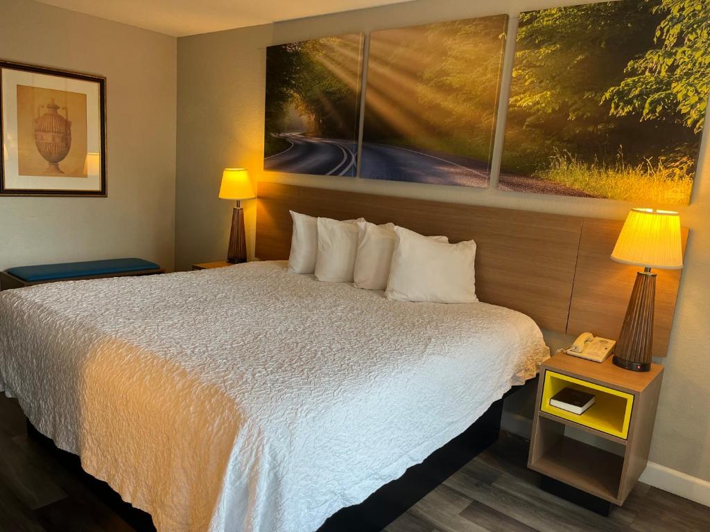 Days Inn & Suites by Wyndham Dayton North - デラックス キングルーム（喫煙）