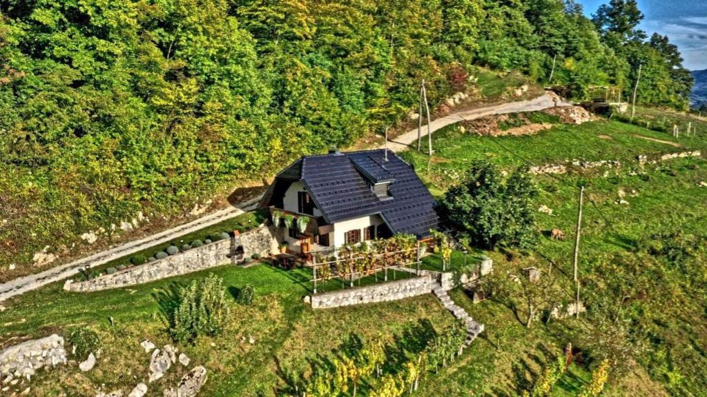 een luchtzicht op een huis op een heuvel bij Holiday home in Otocec Kranjska Krain 42903 in Otočec