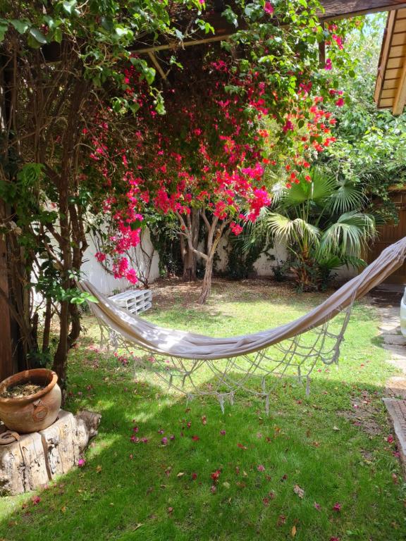 VEINTICINCO Casa de Huéspedes - House A Tre Camere Da Letto