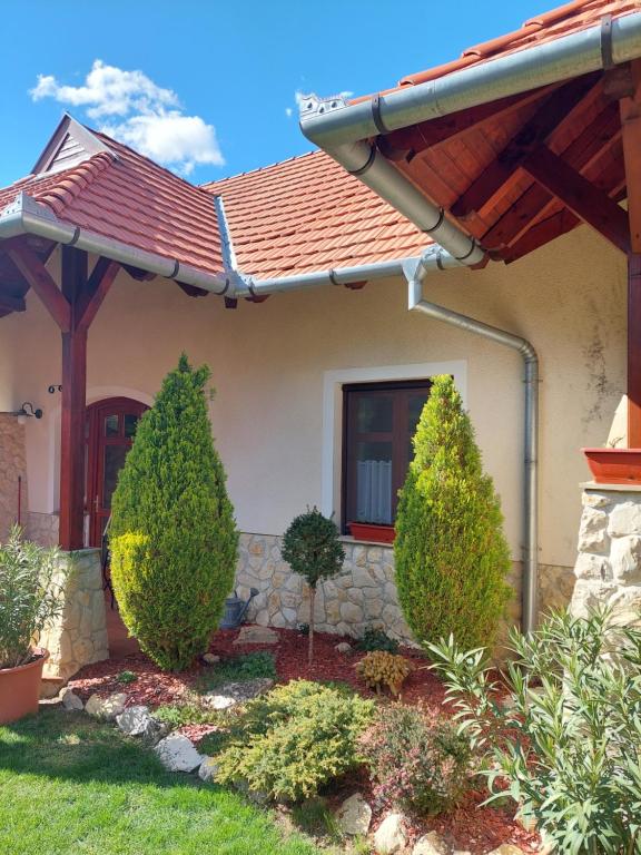 Zahrada ubytování Blasius Apartman