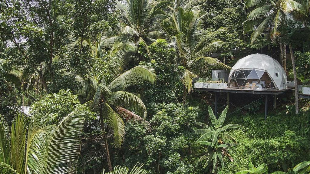 Zahrada ubytování Lintang Luku Tent Resort Ijen, Banyuwangi