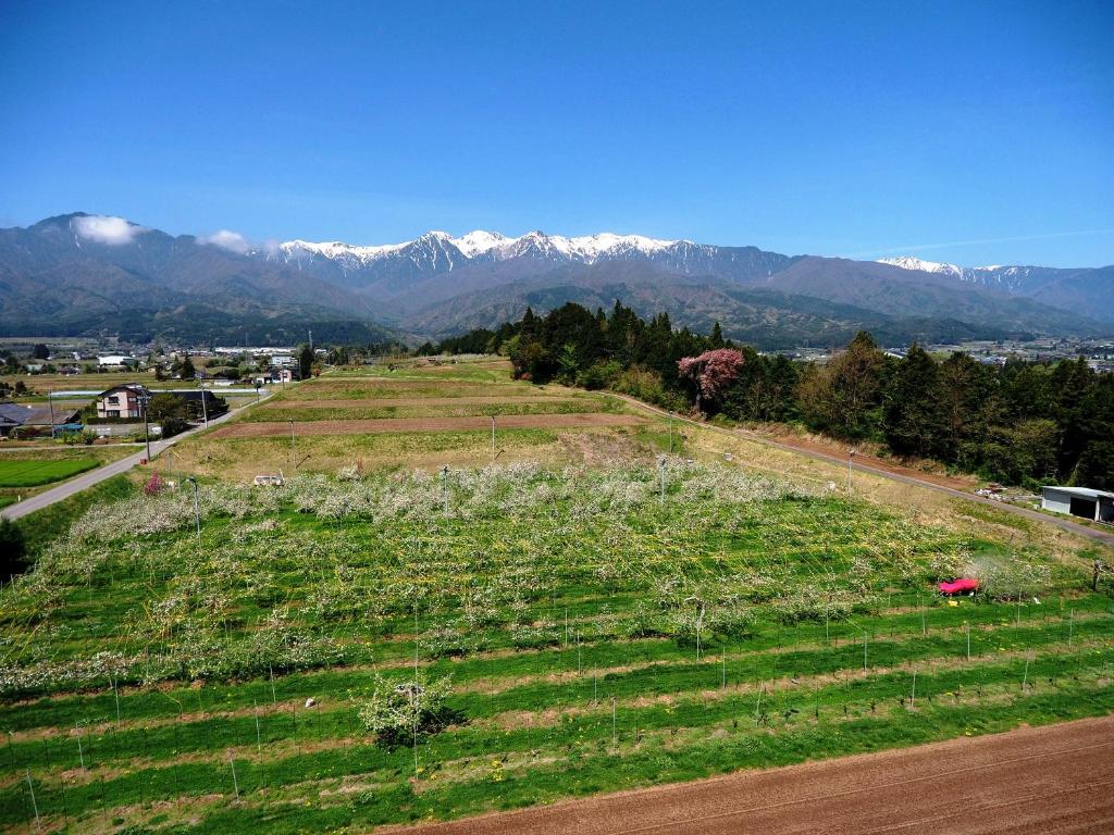 ゲストハウスの近くで見られる自然の景観