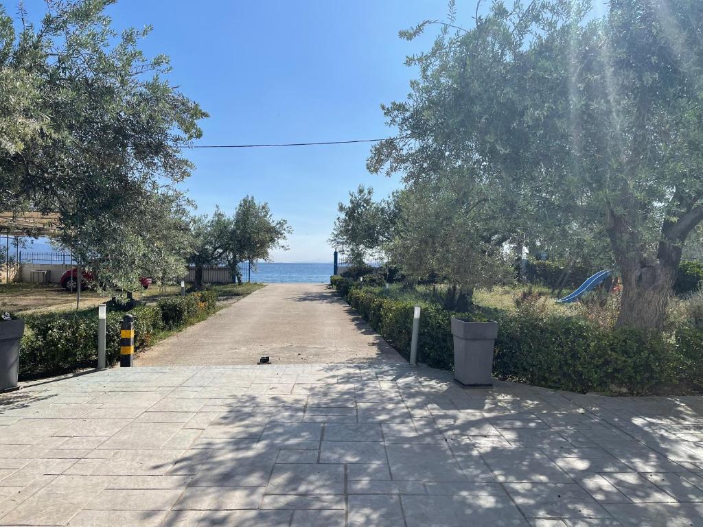 Amalfi Complex - отзывы и видео