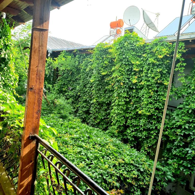 Hotel Rahmon - 2 - отзывы и видео