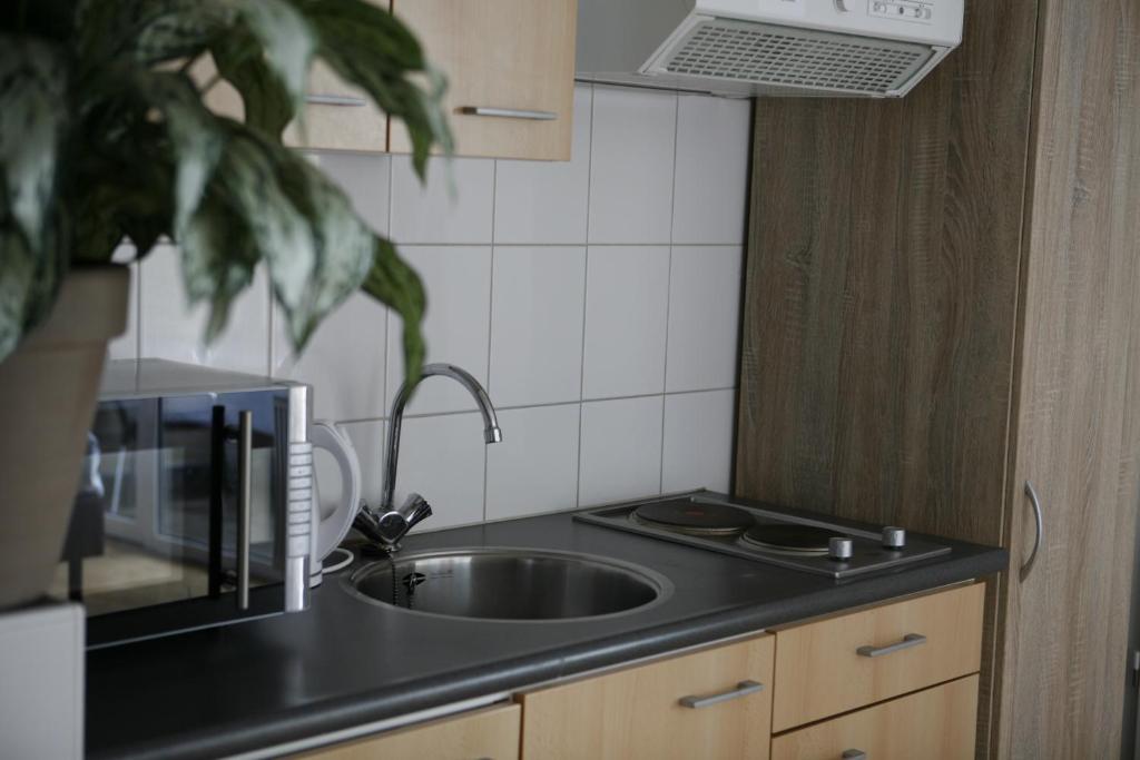 Kuchyň nebo kuchyňský kout v ubytování Hotel & Appartementen - De Zeven Heuvelen