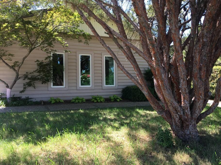 Apartment Cozy Renovated Studio with nice frontyard, Carmichael, CA