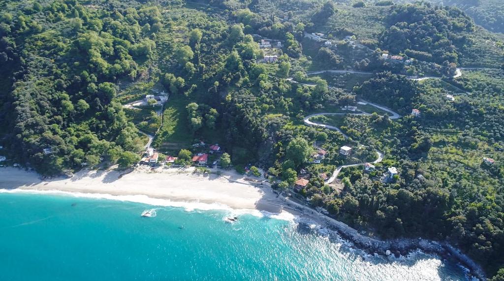 Táj Show holiday homes közelében