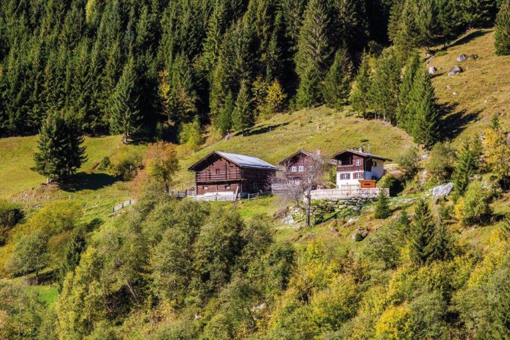 a house on the side of a hill with trees at Almliesl HUET-671 in Hüttschlag