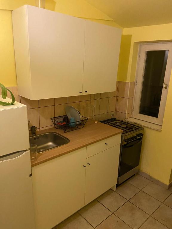 Kuchyň nebo kuchyňský kout v ubytování Holló Vendégház