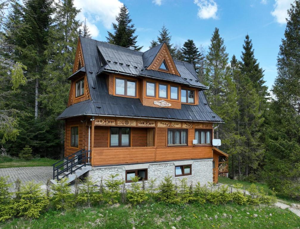 a large wooden house with a black roof at Chata Olina in Oravice